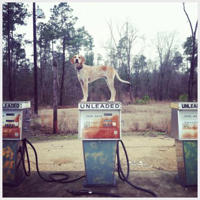 (c)Theron Humphrey